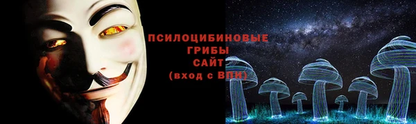 apvp Медногорск