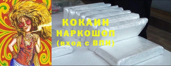 гашик Майский
